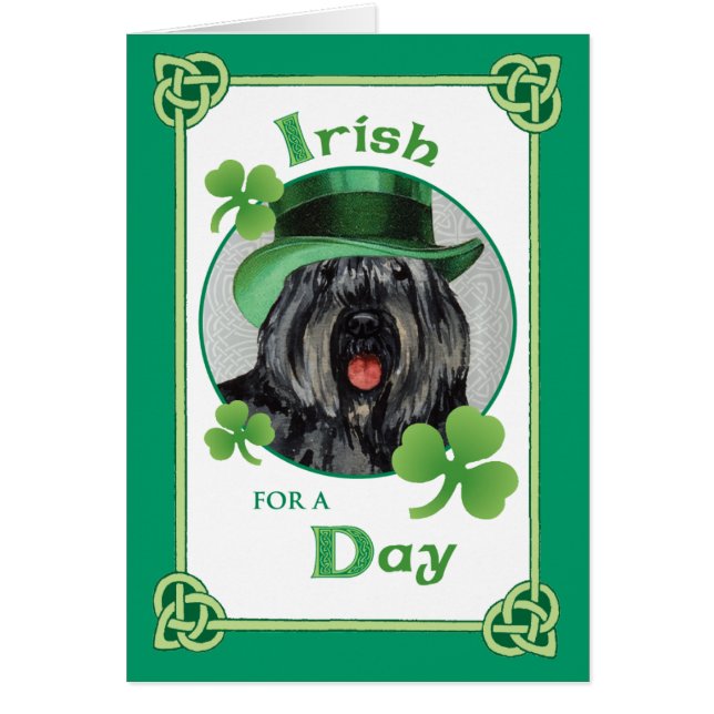 St. Patrick's Day Bouvier (Front)