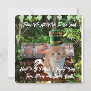 St Patrick's Day Cat Shamrock Flat Holiday Card