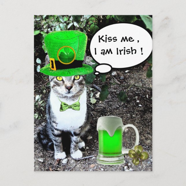 ST PATRICK'S DAY CAT WITH GREEN IRISH BEER POSTCARD (Front)