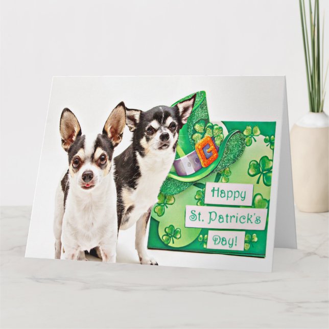 St. Patrick's Day Chihuahua's Card (Front)