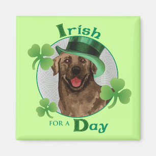 St. Patrick's Day Chocolate Lab Magnet