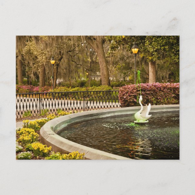 St Patrick's Day - Forsyth Fountain, Savannah, GA Postcard (Front)