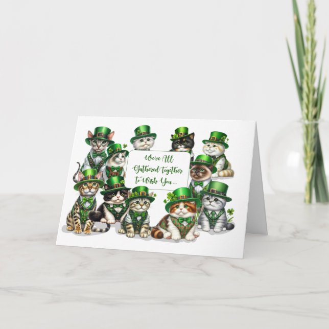 St Patricks Day From Group Funny Cats Card (Front)