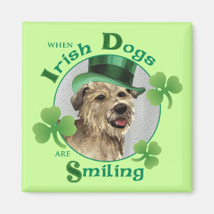 St. Patrick's Day Glen of Imaal Terrier Magnet