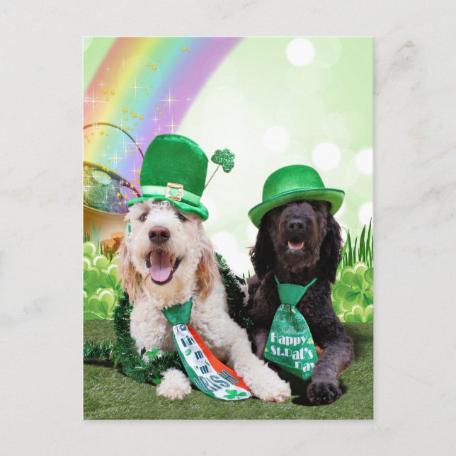 St Patricks Day - GoldenDoodles - Sadie and Izzie Postcard (Front)