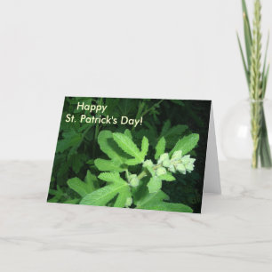 St. Patrick's Day Green Plant Card