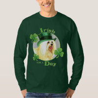 St. Patrick's Day Havanese
