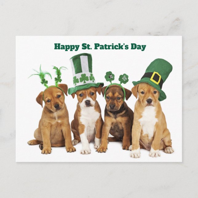 St. Patrick's Day  Holiday Postcard (Front)