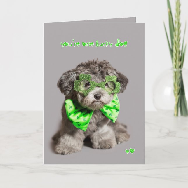 St Patricks Day Lucky Dog Card (Front)