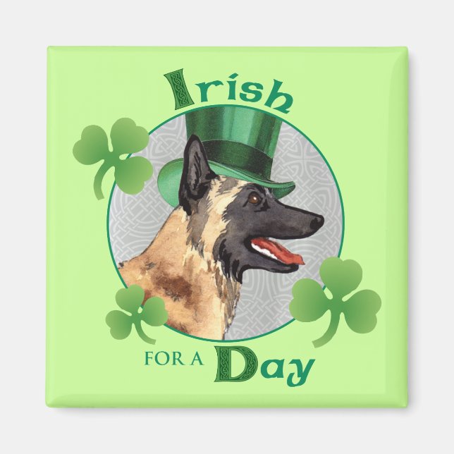 St. Patrick's Day Malinois Magnet (Front)