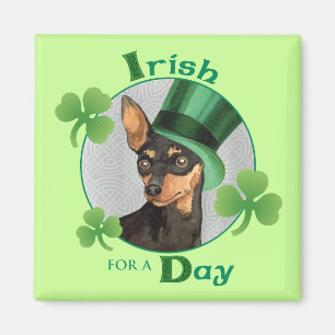 St. Patrick's Day Min Pin Magnet