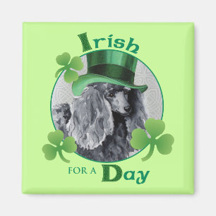 St. Patrick's Day Miniature Poodle Magnet