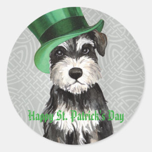 St. Patrick's Day Miniature Schnauzer Classic Round Sticker