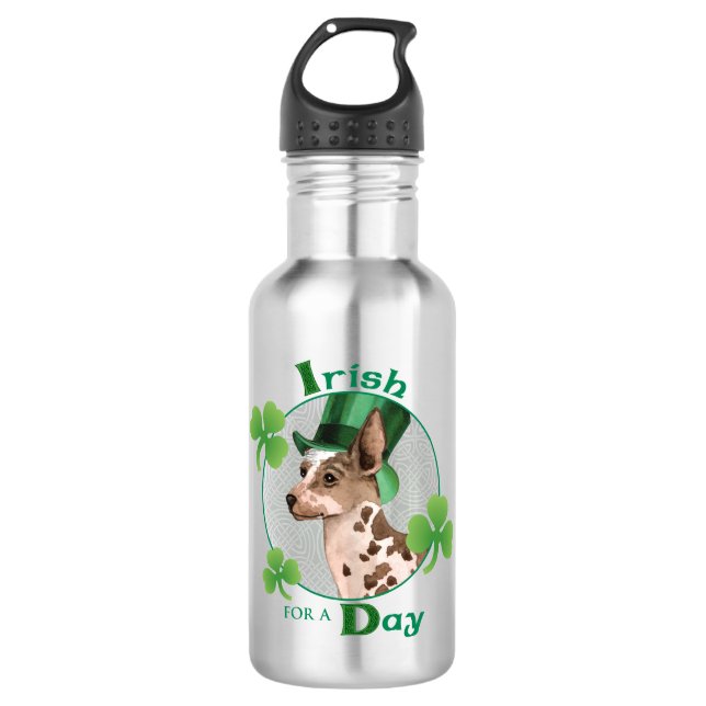 St. Patrick's Day PIO 532 Ml Water Bottle (Front)