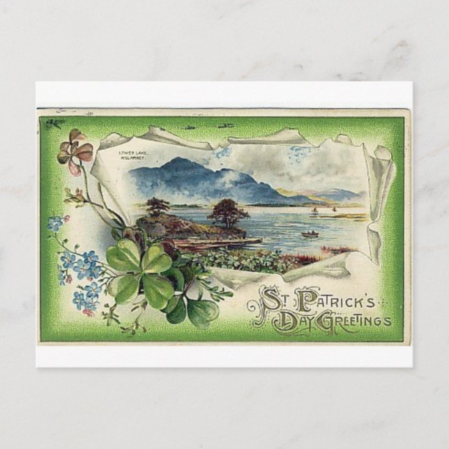 St. Patrick's Day Postcard (Front)