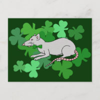 St. Patrick's Day Rat