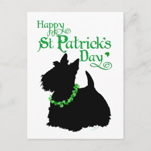 St Patrick's Day Scottish Terrier Postcard