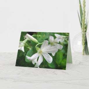 St. Patrick's Day Shamrock Flowers Card
