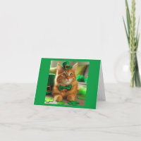 St. Patrick's Day Tabby