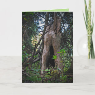 St. Patrick's Day: Who Lives Here? Card