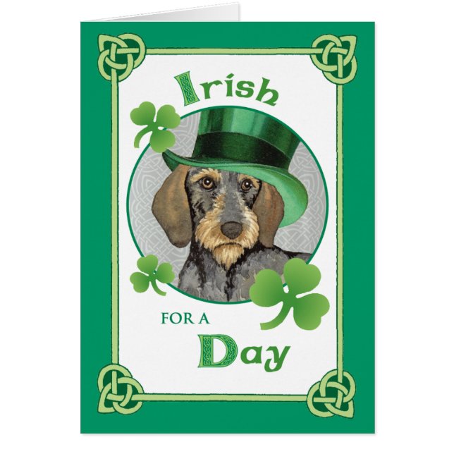 St. Patrick's Day Wirehaired Dachshund (Front)