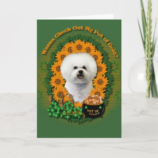 St Patricks - Pot of Gold - Bichon Frise Card (Front)