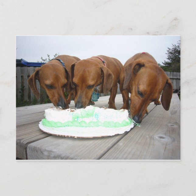 St Pattys Day Postcard (Front)