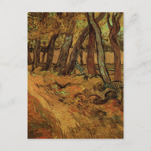 St-Paul Hospital Garden, Figure, Van Gogh Fine Art Postcard