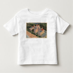 St. Petersburg, Florida - Aerial of Don Ce-Sar Toddler T-Shirt