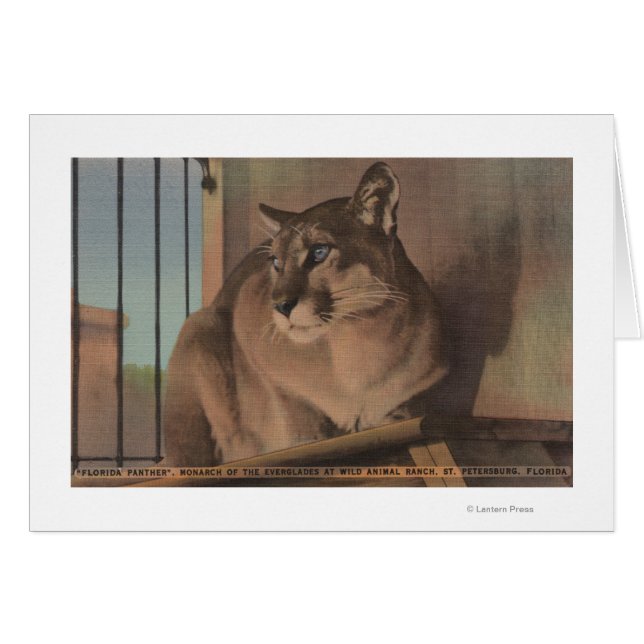 St. Petersburg, Florida - Picture Of Florida (Front Horizontal)