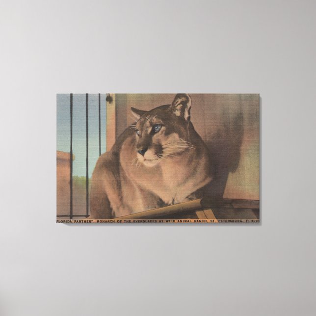 St. Petersburg, Florida - Picture Of Florida Canvas Print (Front)