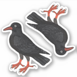 St. Piran's Day / St. Thomas Becket Choughs (fL) -