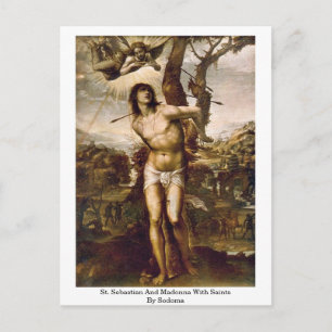 St. Sebastian And Madonna With Saints By Sodoma Postcard