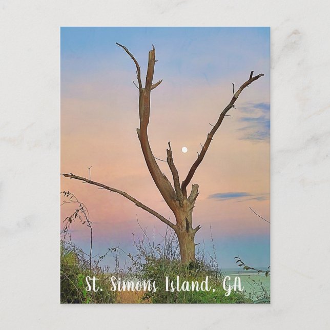 St. Simons Island, GA East Beach Sunset Postcard (Front)