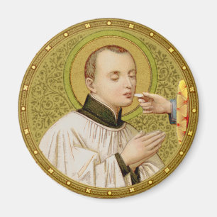 St. Stanislaus Kostka (SNV 25) Magnet