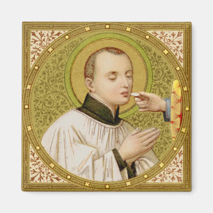 St. Stanislaus Kostka (SNV 25) Magnet
