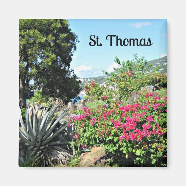 St. Thomas Magnet (Front)