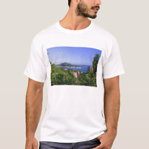 St. Thomas, US Virgin Islands. Charlotte T-Shirt