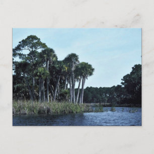 St. Vincent National Wildlife Refuge Freshwater La Postcard