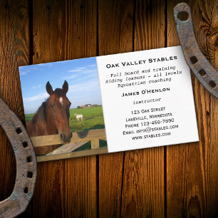 Stables Horse Riding Lessons Business Card