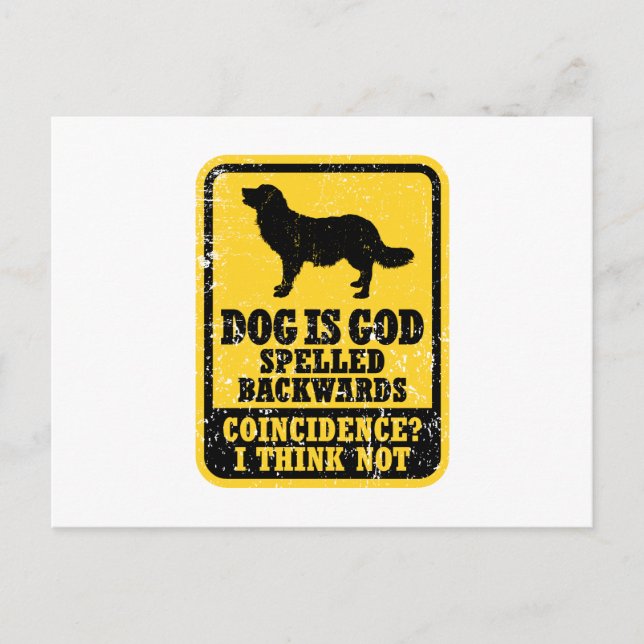 Stabyhoun Postcard (Front)