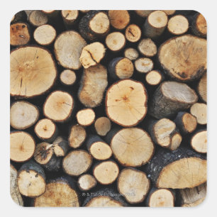 Stack of tree logs square sticker