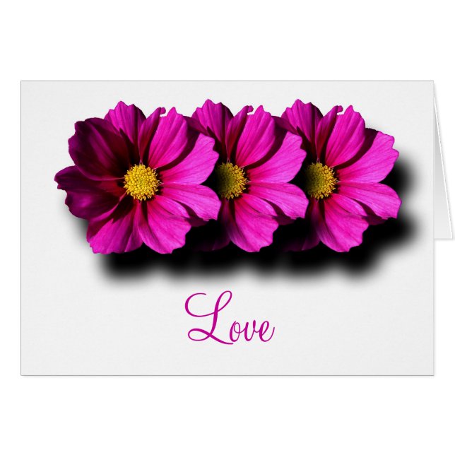 Stacked Cosmos (Front Horizontal)