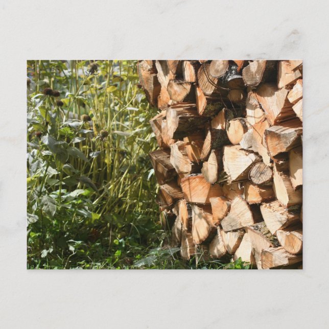 Stacked Firewood Nature Photography Postcard (Front)