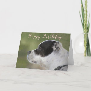 Staffie Puppy Birthday Card