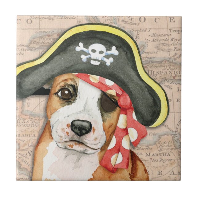 Stafford Pirate Tile (Front)