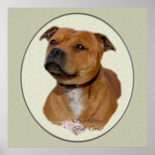 Staffordshire Bull Terrier Art Gifts Poster