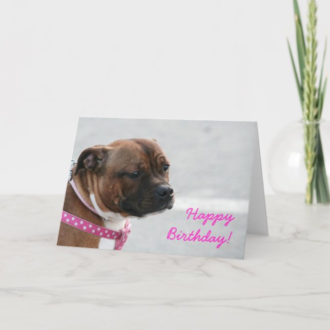 staffordshire bull terrier Birthday greeting card (Front)