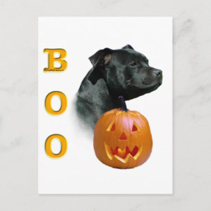 Staffordshire Bull Terrier Boo Postcard