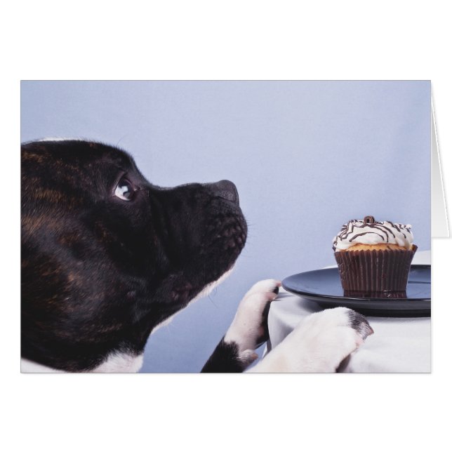 Staffordshire Bull Terrier & Cake Card (Front Horizontal)